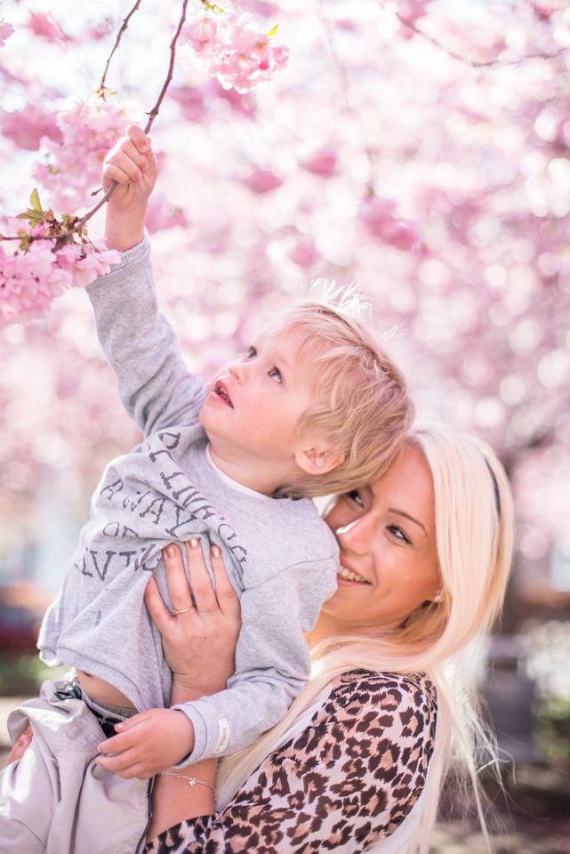 Läs mer om artikeln Barnfotografering bland körsbärsblommor i Helsingborg