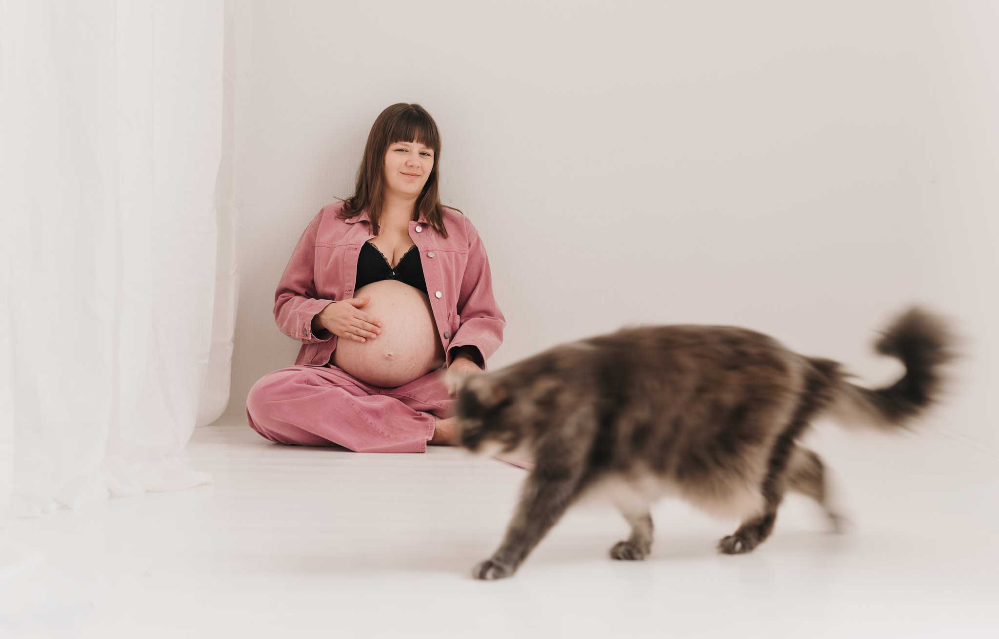 Katt går förbi gravid kvinna under editorial fotografering i studio. 