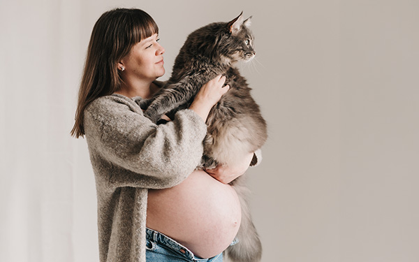 Gravid kvinna håller i Maine coon katt under en gravidfotografering i studio i Helsingborg.